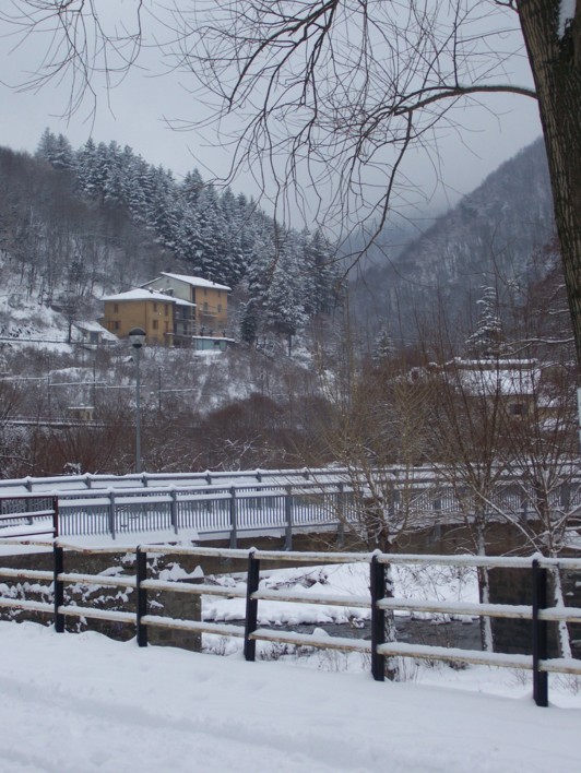  Image name: molino 2008 290.jpg 
 width: 532 pixel 
 height: 708 pixel 
 Size: 123679 bytes 
 Click to enlarge 